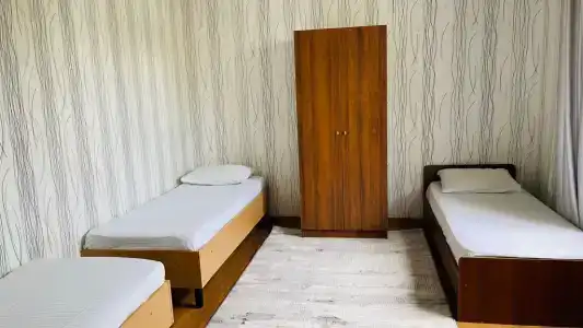 Камелия - 11