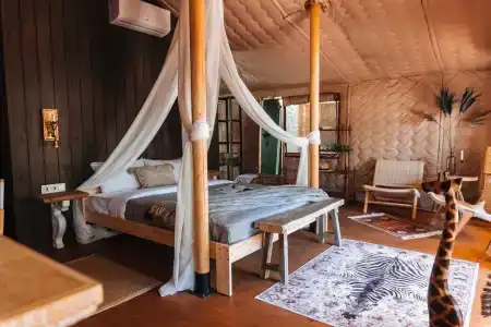 Дзен Рекавери - 28