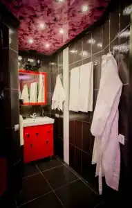 Баккара - 15