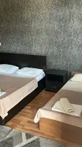 Сан - 11