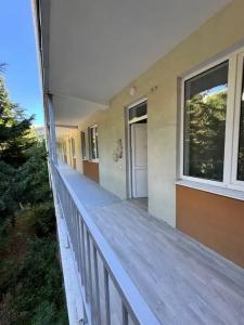 НаутилуС - 81