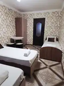 Пегас - 78