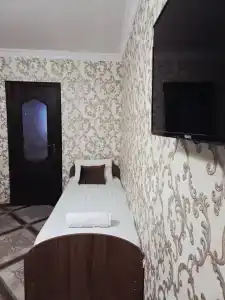 Пегас - 80