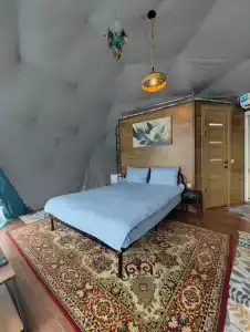 Инжир - 28