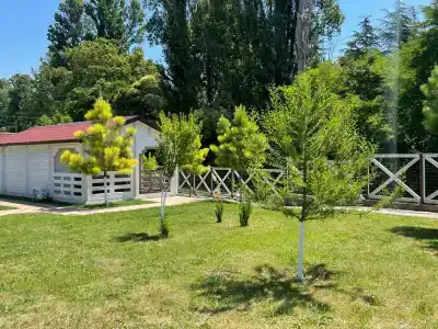 Золотые пески - 59