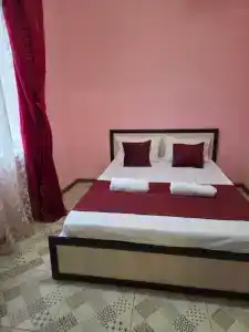 Пегас - 88