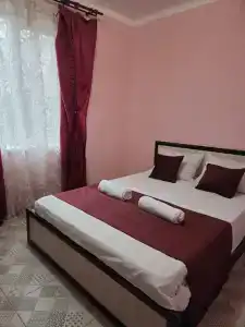 Пегас - 91