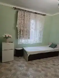 Пегас - 94