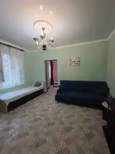 Пегас - 95