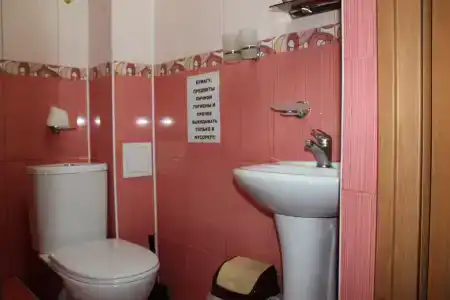 Виктория - 13
