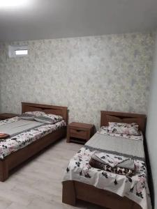 Веста - 13