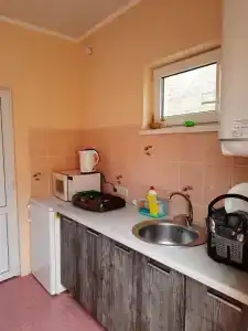 Веста - 14