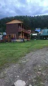 Селена - 27