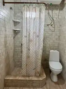 Пальма - 5