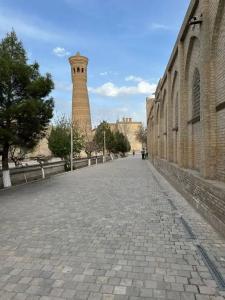 Zarb - 50
