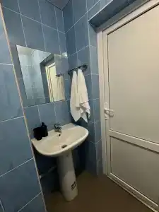 Кипарис - 13
