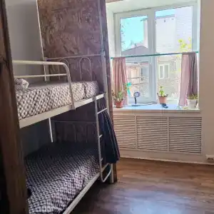ЖивиТут - 33