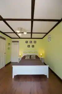 Редкая птица - 8