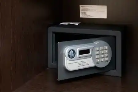 Вега - 60