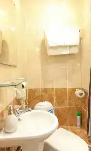 Цветы - 15