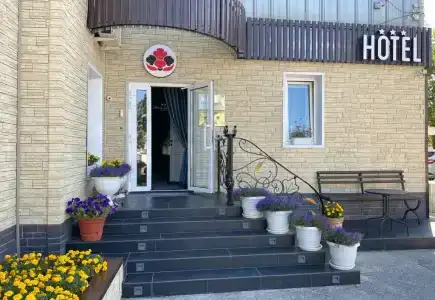Цветы - 22