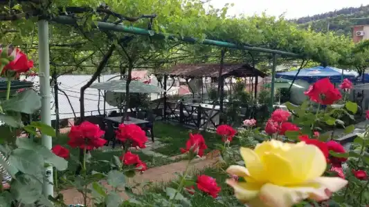 Guest House Green Rose - 34