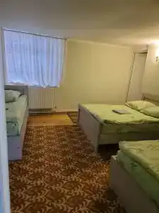 Guest House Green Rose - 49