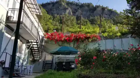 Guest House Green Rose - 56