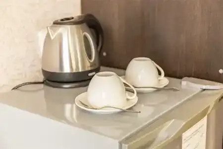 Славянка Саяногорск - 25