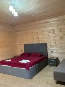 Элион - 12