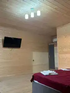 Элион - 14