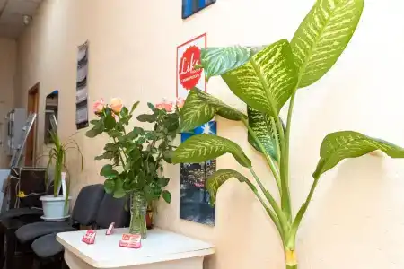 Лайк Хостел - 20