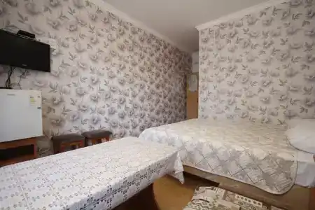 Алена - 14