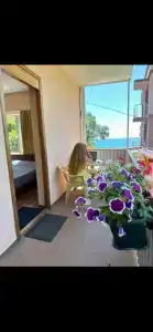 Южный дом - 39