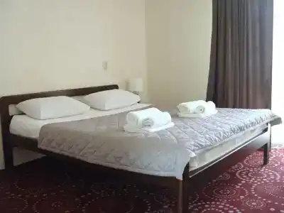 Palm Hotel - 51