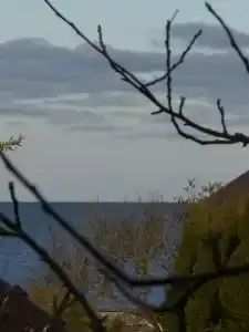 Нерейский - 66