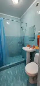 Барбарис - 17