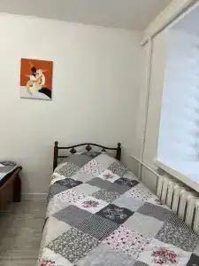 Гуси - 6