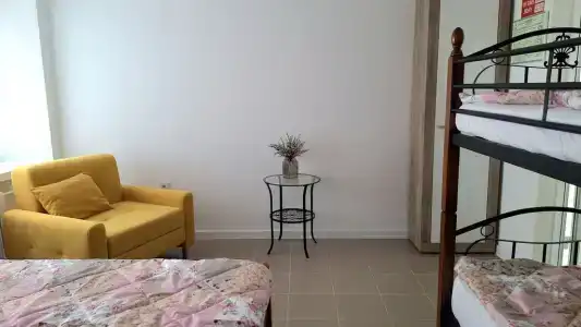 Гуси - 9
