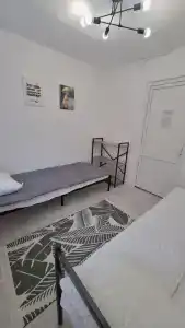 Гуси - 14