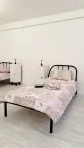 Гуси - 19