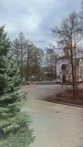 Гуси - 21