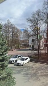 Гуси - 24