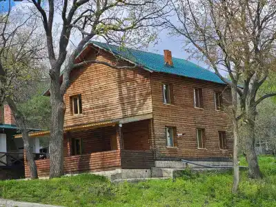 Заячьи ушки - 37