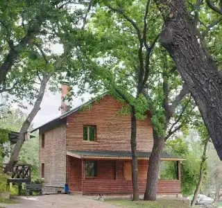 Заячьи ушки - 36