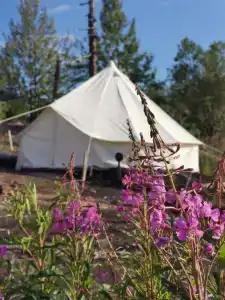 TolbachikCamp - 8