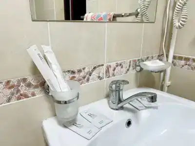 София - 55