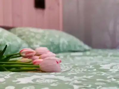 Алди - 332
