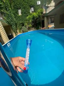 Анисья - 254