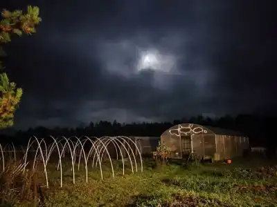 Лесосад Евгения Юма - 50